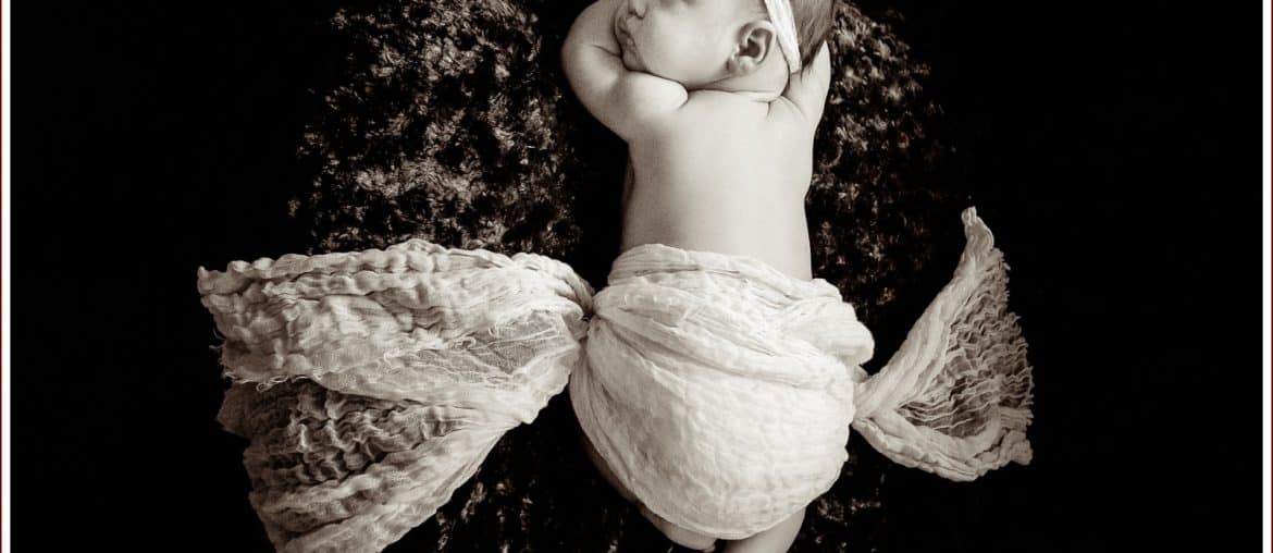 newborn, portrait, cyndi hardy photography, photographer, photography