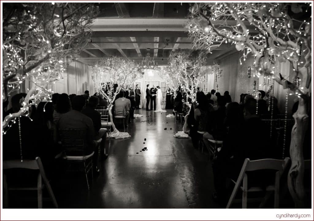 wedding, cyndi hardy photography, photography, photographer, mesa, arizona, downtown, urban, baseball