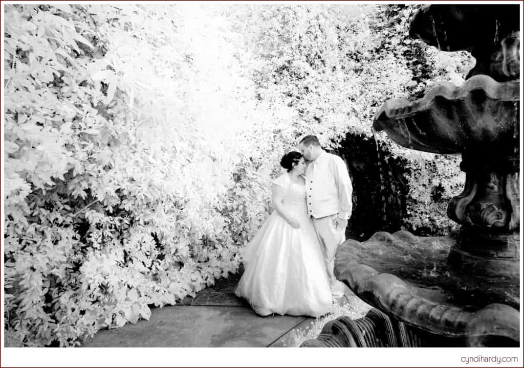 wedding, cyndi hardy photography, photography, photographer, san marcos, california, garden, Twin Oaks House and Gardens