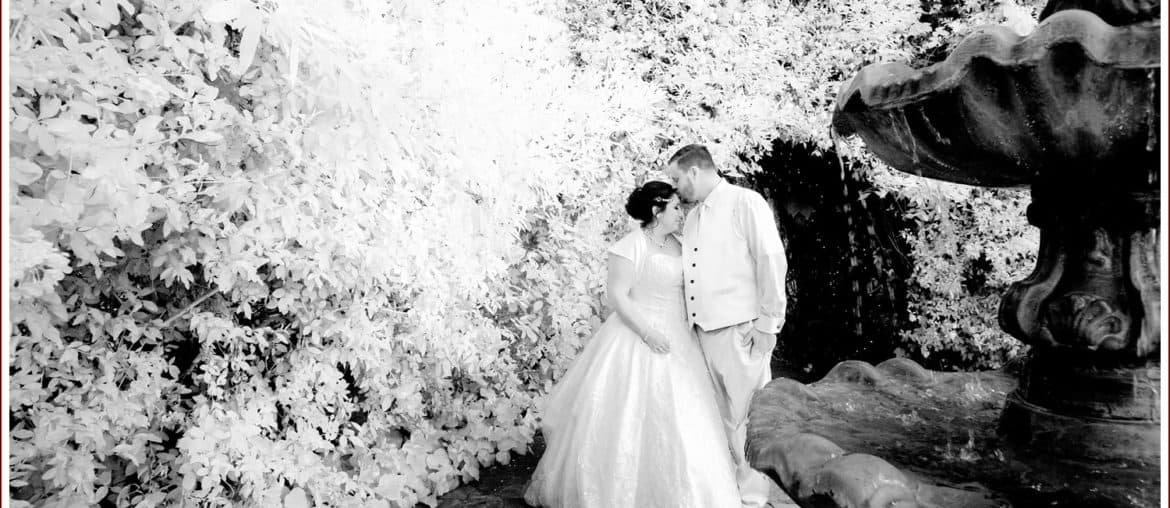 wedding, cyndi hardy photography, photography, photographer, san marcos, california, garden, Twin Oaks House and Gardens
