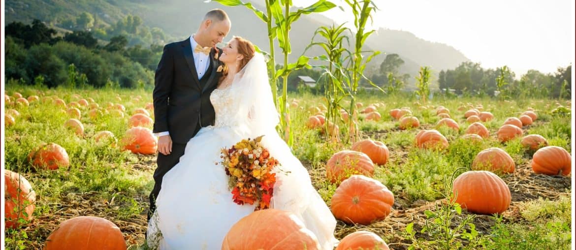 wedding, cyndi hardy photography, photography, photographer, vista, california, bates nut farm, pumpkin patch, rustic, fall, autumn