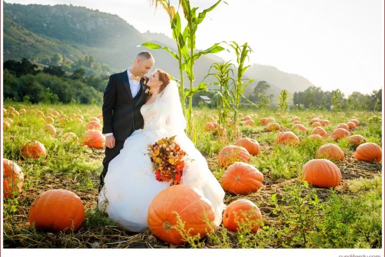 wedding, cyndi hardy photography, photography, photographer, vista, california, bates nut farm, pumpkin patch, rustic, fall, autumn