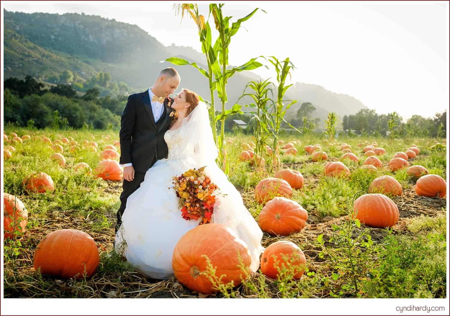 Fall Pumpkin Patch Wedding Kristen and Nick Cyndi Hardy Photography
