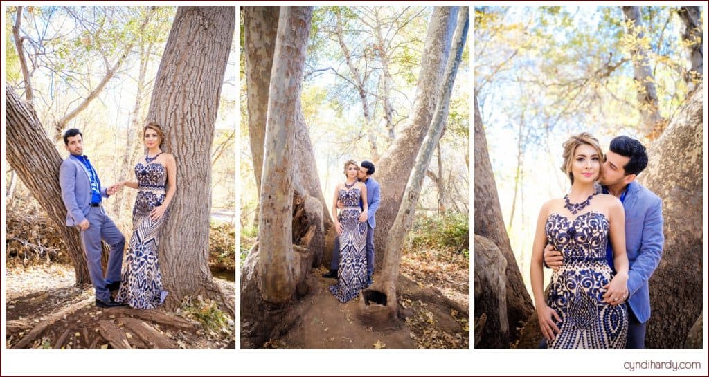 engagement, cyndi hardy photography, photography, photographer, sedona, arizona, red rock crossing, fashion, edgy