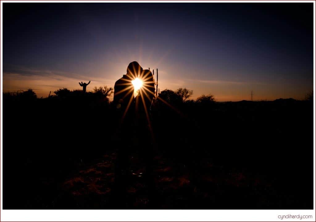 engagement, session. engaged. cyndi hardy photography, photography, photographer, photos, scottsdale, arizona, desert, cactus